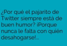 El pajarito feliz de Twitter