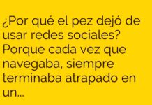 El pez atrapado en la red social.