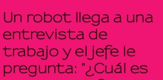 «El robot literal en la entrevista»