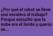 «El Robot que Quería Alcanzar la Nube»