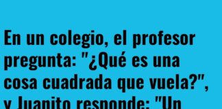 El Sueño Geométrico de la Mosca