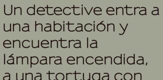 El verdadero enigma del sombrero de la tortuga