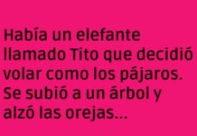El vuelo exprés de Tito el elefante