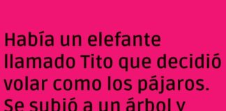 El vuelo exprés de Tito el elefante