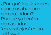 Faraones y el software escarabajo.