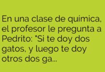 Gatos Escurridizos en Clase de Química