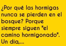 Hormiga a la Moda entre Mariquitas