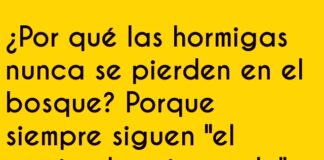 Hormiga a la Moda entre Mariquitas