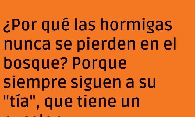 Hormigas Perdidas con Estilo