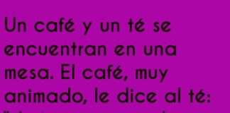 «Infusiones de fiesta con sabor a humor»