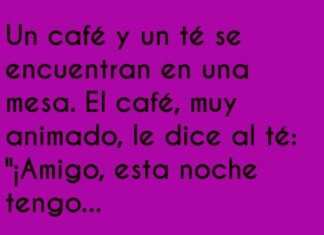 «Infusiones de fiesta con sabor a humor»