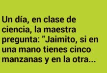 Jaimito y el misterio de las manzanas extrañas