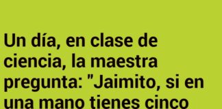 Jaimito y el misterio de las manzanas extrañas