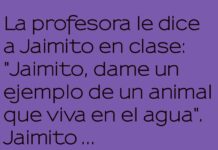 Jaimito y el reino de los peces ingeniosos