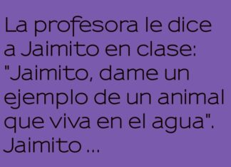 Jaimito y el reino de los peces ingeniosos