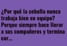 La cebolla necesita terapia de equipo