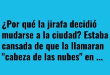 La jirafa que buscaba un cambio de perspectiva