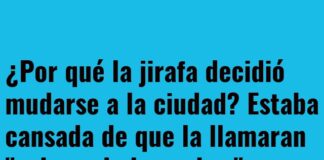 La jirafa que buscaba un cambio de perspectiva