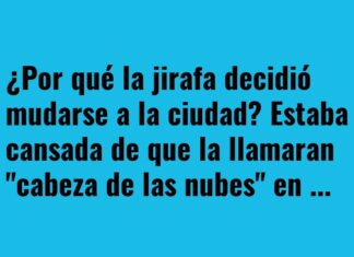 La jirafa que buscaba un cambio de perspectiva