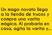 La varita que solo funciona con conejos