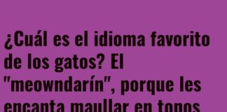 Lenguas Felinas: Maullidos Multilingües