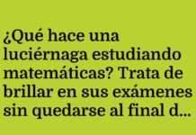 Luciérnaga ilumina las matemáticas con diversión