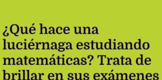 Luciérnaga ilumina las matemáticas con diversión
