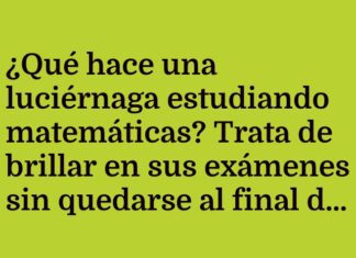 Luciérnaga ilumina las matemáticas con diversión