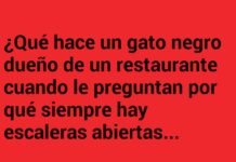 «Menú de Supersticiones: El Secreto del Restaurante Gato Negro»