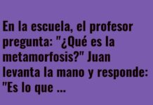 «Metamorfosis: De Estudiante a Zombi»