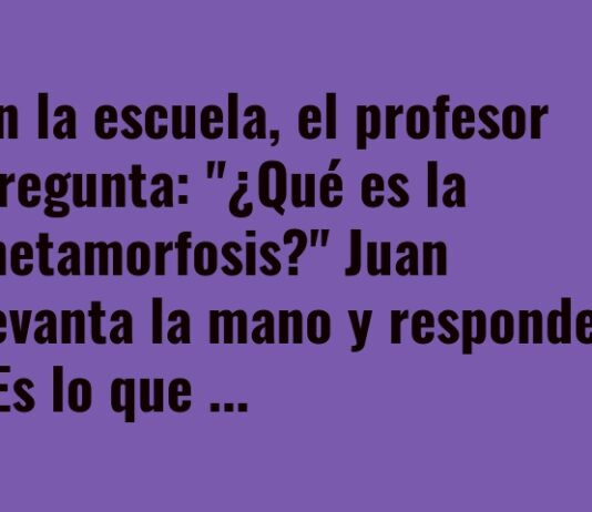 «Metamorfosis: De Estudiante a Zombi»