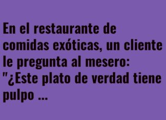 Motivación para el pulpo fumador
