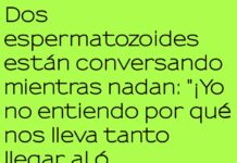 Nadando con un mal sentido de dirección