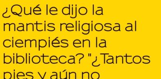 Notas al pie entre insectos lectores