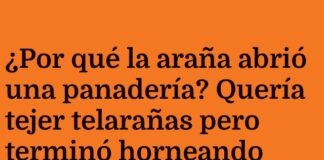 «Pastel-ragna: La araña panadera»