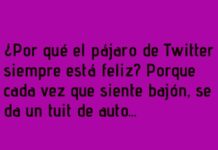 «Peleas de Redes Sociales: El Pájaro que Siempre Vuela Alto»