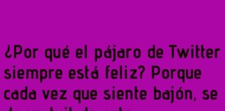 «Peleas de Redes Sociales: El Pájaro que Siempre Vuela Alto»