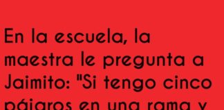 Pensamientos Agudos de Jaimito
