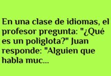 Poliglotas y monjes claustrofóbicos