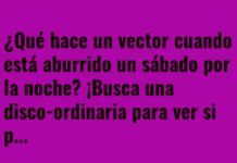 «Sábados Vectoriales: Centro de Risas y Planos»