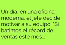 «Un Proyector con Vista al ‘Exterior'»