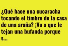 Una bufanda tejida con riesgo de cena