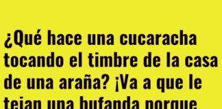 Una bufanda tejida con riesgo de cena