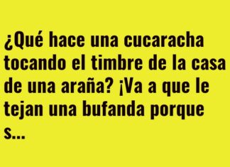 Una bufanda tejida con riesgo de cena