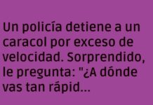 Velocidad a ritmo de caracol.