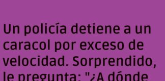 Velocidad a ritmo de caracol.