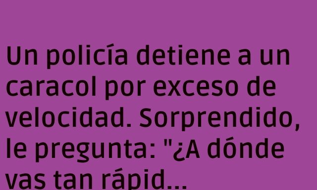 Velocidad a ritmo de caracol.