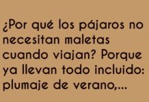 «Viajeros con Alas Todo Incluido»