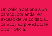Caracol a toda marcha: Casco y velocidad máxima