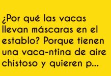 Chistes Frescos en Vaca-ntina